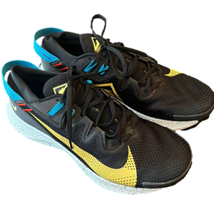 Nike Pegasus Trail 2